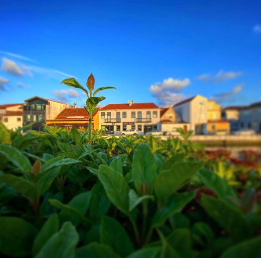 Up Tree Nature Rooms Aveiro Exterior foto